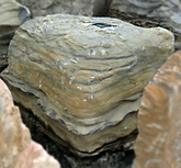 Photo of Bubble Rock 28 Metamorphic (Large)  - Marquis Gardens